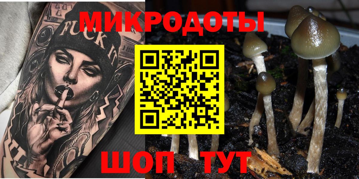 Галлюциногенные грибы Cubensis Клин