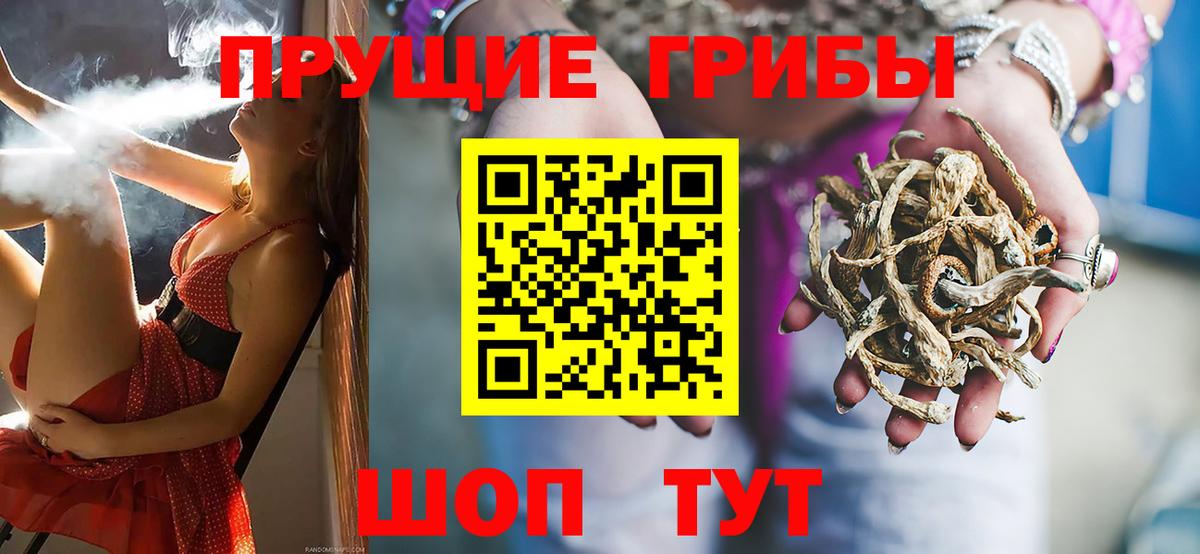 как найти закладки  Псилоцибиновые грибы Cubensis  Вход с VPN  Клин 